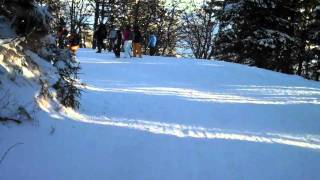 Skibike fahren auf dem Belchen [upl. by Beattie]