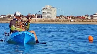 PESCADOR SE ENFRENTA A LA quotPLAGAquot POR UN PESCADO ¿QUIÉN GANARÁ [upl. by Akkire378]