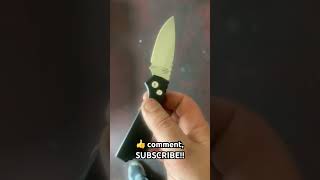 Protech x SNG edc blade knife collector knife fe [upl. by Sclar403]