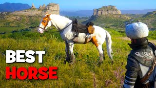 The BEST Horse in Red Dead Online [upl. by Lebasi]