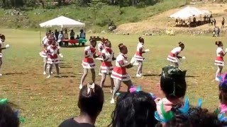 Aggrey house cheerleading routine 2016 [upl. by Josie]