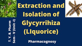 Isolation Identification and Analysis of Glycyrrihiza LIquorice [upl. by Irrok]