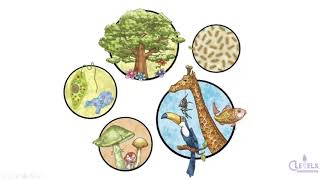 IGCSE Biology 0610 Characteristics Of Living Things  Olevels Virtual School [upl. by Ailimat]