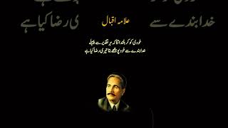 Allama Iqbal poetry urdupoetry quotes urduquotes youtubeshorts shortfeed foryou [upl. by Ardnaxela]