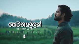 Vidula Ravishara  Sewanallak සෙවනැල්ලක් Official Visualizer [upl. by Merline544]