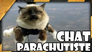 Zap  Un chat fait du parachute  ZDW 54 [upl. by Felicie]