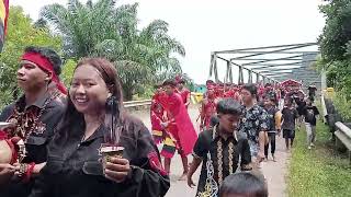 Karnaval Budaya Gawai Dayak Ke X Kabupaten Ketapang 2024 [upl. by Alleacim]