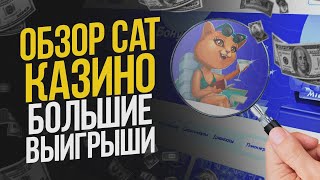 Кет казино бонусы при регистрации ✨ Кэт казино онлайн [upl. by Dyanna]