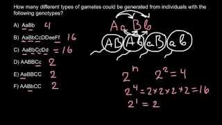 Gametes and genotypes simple formula for exam [upl. by Roter]