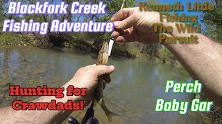 Blackfork Creek Fishing Adventure Perch Baby Alligator Gar See Product links in description [upl. by Otsuaf]