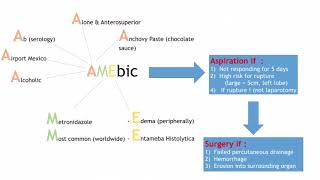 Amebic amp Pyogenic Liver Abscess [upl. by Erika975]