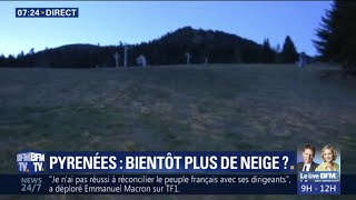 Plus de neige dans les Pyrénées dici 2050  Ashley Chevalier nous montre comment Le Mourtis résiste [upl. by Melena]