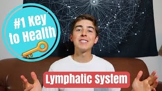 The Key to Health and Detox 🔑 Lymphatic System [upl. by Esom729]