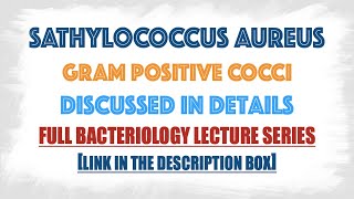 Staphylococcus aureus  Virulence factorsToxinsPathogenesisLab diagnosisTypingTreatment [upl. by Oicnaneb]