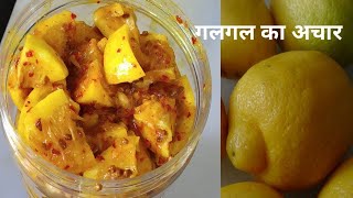 Galgal ka Aachar  Khatte ka aachar at home  Homemade Himachali aachar  Ghar ka bana hua aachar [upl. by Glogau]