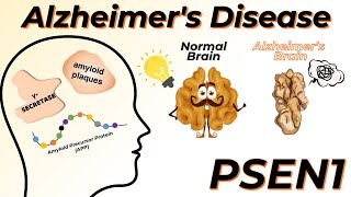 The real story behind Alzheimer’s Disease and PSEN1 [upl. by Asylem]