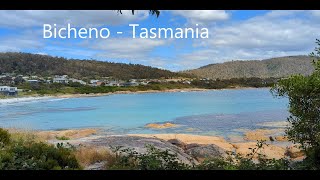 Bicheno  Tasmania [upl. by Boatwright]