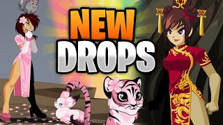 Not a Mod CLASS is Really Good NEW Rare DROPS and Items Added AQW [upl. by Eggett]