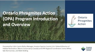 Ontario Phragmites Program OPA Introduction and Overview [upl. by Trebmer]