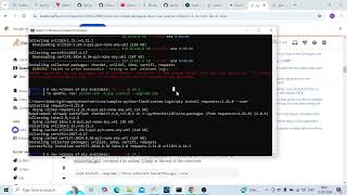 ERROR Could not install packages due to an OSError [upl. by Bates]
