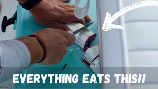 Using Cut Ladyfish for Florida Backwater Species [upl. by Gabie]