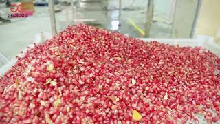 Pomegranate Peeling and Deseeding Machine [upl. by Taryne]