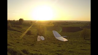 Dream Flight Libelle evening aerobatics [upl. by Eldredge]