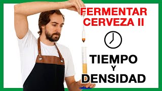 ⏱ ¿CUÁNTO DURA LA FERMENTACIÓN DE LA CERVEZA 🍺 Cómo medir la densidad de la cerveza artesanal 46 [upl. by Dickson]