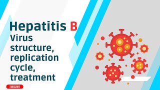 In depth explanation of Hepatitis B Virus structure replication cycle treatment [upl. by Ahcire]