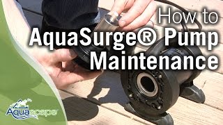 Aquascapes AquaSurge® Pump Maintenance amp Troubleshooting Tips [upl. by Mateusz]