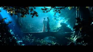 Arwen and Aragorn  Romantic Scene  HD [upl. by Gereron448]