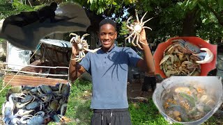 Giant MudCrab Catch And Cook  Crazy Adventures 🇯🇲 [upl. by Yennor8]