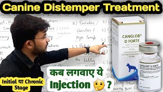 Canine Distemper का इलाज 😱 Inj CanglobD  कब लगवाए ये टीका 🤔  Canine Distemper Symptoms 4 Stage [upl. by Cottrell]