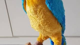 Hasbro Furreal Friends Squawkers McCaw Parrot [upl. by Martella]