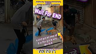 Awesome dog catching । Wait For END 💕 viral shorts dog doglover [upl. by Wallas]