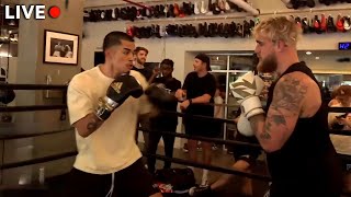 Sneako vs Jake Paul FULL FIGHT [upl. by Heriberto]