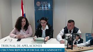 11 10 2024 EXPEDIENTES SORTEADOS POR EL TRIBUNAL DE APELACIÓN PENAL DE CANINDEYÚ [upl. by Dnomyad]