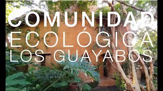 COMUNIDAD ECOLÓGICA LOS GUAYABOS [upl. by Most]