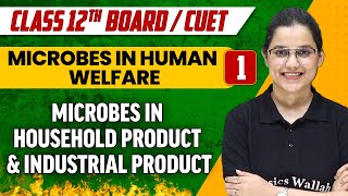 Microbes in Human Welfare 01 Microbes in Household Product amp Industrial Product  Class 12thCUET [upl. by Clayberg]