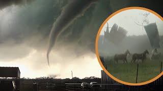 Horses Hit by Tornado amp Escape Unharmed [upl. by Pandora]