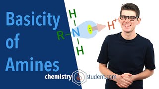 Amines  Basicity Alevel Chemistry [upl. by Denn]