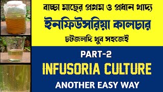 How to culture infusoria part2  Infusoria culture another easy way  infusoria culture [upl. by Jestude]