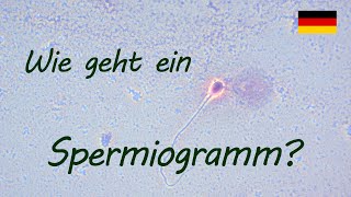 Wie geht ein Spermiogramm  Urologe Göttingen [upl. by Philis242]