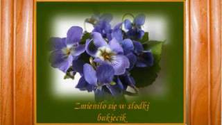 SŁODKIE FIOŁKI SWEET VIOLETS SŁAWA PRZYBYLSKAwmv [upl. by Polloch]