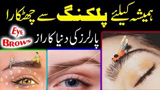 Microblading Eyebrows Step by Step Tutorial  Waxing overgrown eyebrows  New Style Eyebrow [upl. by Audre]