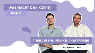 Pflanzliches Protein vs tierisches Protein Das sollten Sie wissen [upl. by Sigismundo]