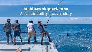 Maldives skipjack tuna a sustainability success story [upl. by Sidney88]