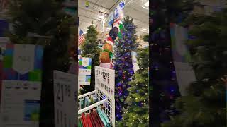 Christmas trees already on sale in September amazing [upl. by Yaner]