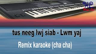 tus neeg lwj siab  lwm yaj Remix karaoke cha cha [upl. by Kinney]