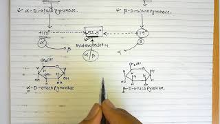 5 Sugar isomers Part4 Mutarotation [upl. by Lyman675]